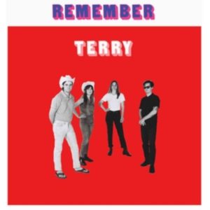 Terry - Remember Terry i gruppen CD / Pop-Rock hos Bengans Skivbutik AB (2478696)