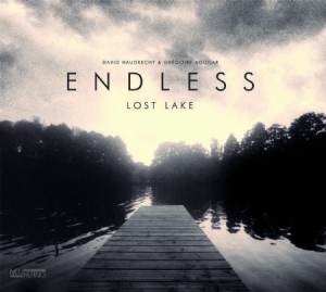 Endless - Lost Lake i gruppen CD / Jazz/Blues hos Bengans Skivbutik AB (2478753)
