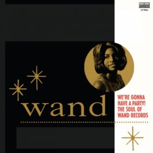 Blandade Artister - We're Gonna Have A Party! Soul Of W i gruppen VI TIPSAR / Klassiska lablar / Sundazed / Sundazed Vinyl hos Bengans Skivbutik AB (2479818)