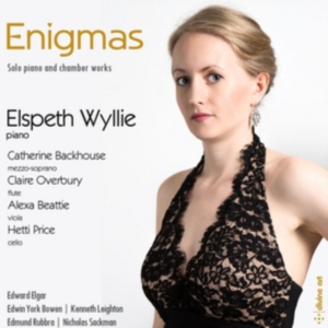 Various - Enigmas i gruppen Externt_Lager / Naxoslager hos Bengans Skivbutik AB (2482672)