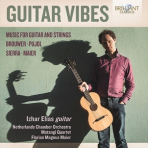 Various - Guitar Vibes i gruppen Externt_Lager / Naxoslager hos Bengans Skivbutik AB (2491282)