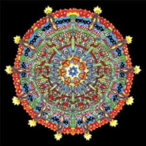 Of Montreal - Hissing Fauna, Are You The Des i gruppen VINYL / Pop-Rock hos Bengans Skivbutik AB (2498932)