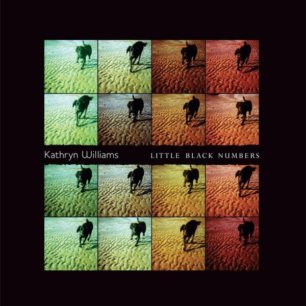 Kathryn Williams - Little Black Numbers i gruppen VINYL / Pop hos Bengans Skivbutik AB (2510790)