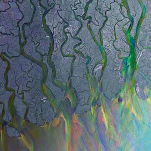 Alt-J - An Awesome Wave i gruppen VINYL / Pop-Rock hos Bengans Skivbutik AB (2516602)