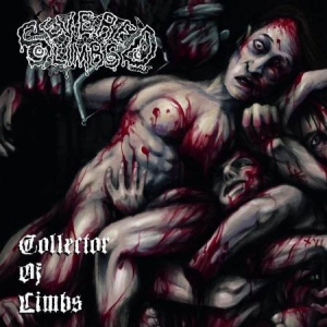 Severed Limbs - Collector Of Limbs i gruppen CD / Hårdrock/ Heavy metal hos Bengans Skivbutik AB (2517364)