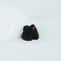 Wolfe Chelsea - Hiss Spun (2 Lp Vinyl) i gruppen VI TIPSAR / Fredagsreleaser / Fredag den 21:a Juni 2024 hos Bengans Skivbutik AB (2519873)
