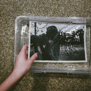 Really From - Verse i gruppen CD / Rock hos Bengans Skivbutik AB (2519876)