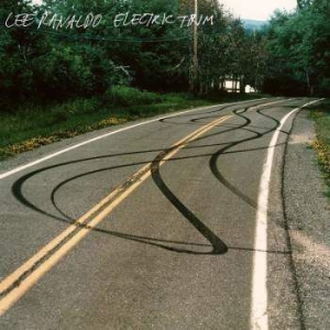 Ranaldo Lee - Electric Trim i gruppen CD / Rock hos Bengans Skivbutik AB (2520064)