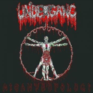 Undergang - Misantropologie i gruppen CD / Hårdrock hos Bengans Skivbutik AB (2520581)