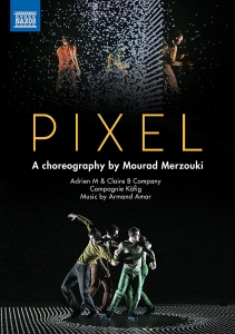 Various - Pixel (Dvd) i gruppen Externt_Lager / Naxoslager hos Bengans Skivbutik AB (2527353)