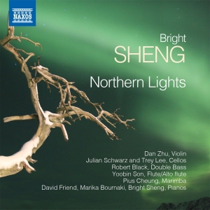 Sheng Bright - Northern Lights i gruppen Externt_Lager / Naxoslager hos Bengans Skivbutik AB (2527409)