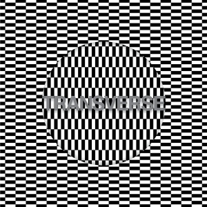 Carter Tutti Void - Transverse i gruppen CD / Pop-Rock hos Bengans Skivbutik AB (2528534)