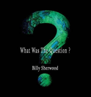 Sherwood Billy - What Was The Question? i gruppen CD / Pop-Rock hos Bengans Skivbutik AB (2542464)