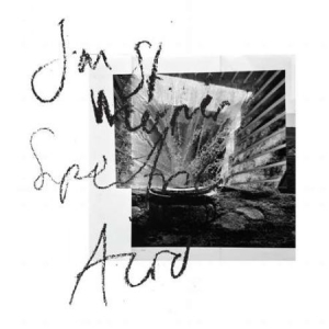 St Werner Jan - Spectric Acid i gruppen CD / Pop-Rock hos Bengans Skivbutik AB (2543508)