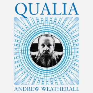 Weatherall Andrew - Qualia i gruppen VI TIPSAR / Blowout / Blowout-LP hos Bengans Skivbutik AB (2544116)