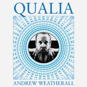 Weatherall Andrew - Qualia i gruppen VINYL / Elektroniskt,Pop-Rock hos Bengans Skivbutik AB (2544116)