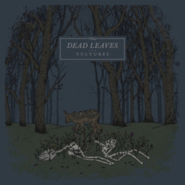 Dead Leaves - Vultures i gruppen VINYL / Rock hos Bengans Skivbutik AB (2545408)