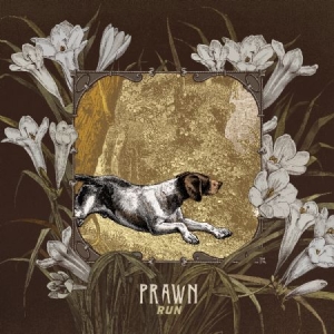 Prawn - Run i gruppen CD / Rock hos Bengans Skivbutik AB (2545443)