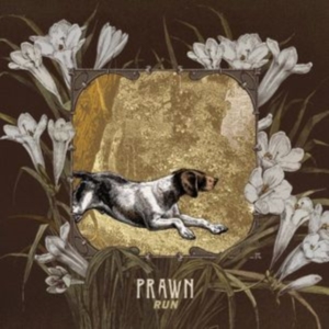 Prawn - Run i gruppen CD / Pop-Rock hos Bengans Skivbutik AB (2545443)