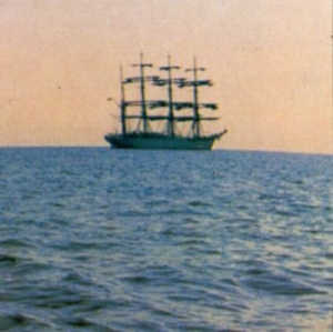 Smog - Doctor Came At Dawn i gruppen VINYL / Pop-Rock hos Bengans Skivbutik AB (2546792)