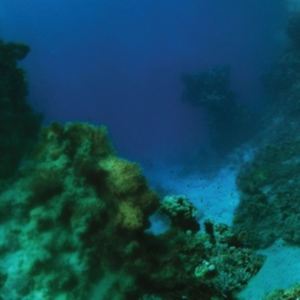 Tiny Fingers - Fall (Special Edition) i gruppen VINYL / Hårdrock hos Bengans Skivbutik AB (2547775)