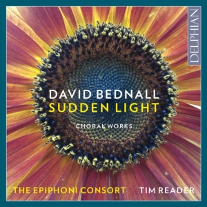 Bednall David - Sudden Light i gruppen Externt_Lager / Naxoslager hos Bengans Skivbutik AB (2547854)