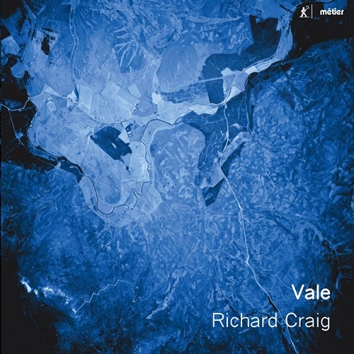 Various - Vale: New Music For Flute i gruppen Externt_Lager / Naxoslager hos Bengans Skivbutik AB (2548275)