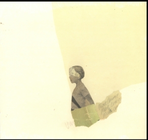 Mock Orange - Put The Kid On The Sleeping Horse i gruppen VINYL / Pop-Rock hos Bengans Skivbutik AB (2549021)