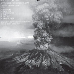 Upper Wilds - Guitar Module i gruppen VINYL / Pop-Rock hos Bengans Skivbutik AB (2549064)