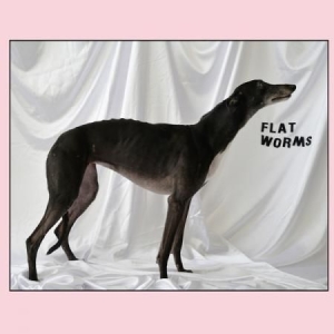 Flat Worms - Flat Worms i gruppen VINYL / Rock hos Bengans Skivbutik AB (2553195)