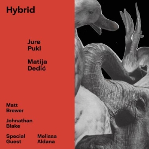 Pukl Jure & Matija Dedic - Hybrid i gruppen CD / Kommande / Övrigt hos Bengans Skivbutik AB (2553214)