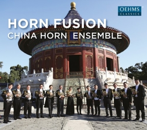 Various - Horn Fusion i gruppen Externt_Lager / Naxoslager hos Bengans Skivbutik AB (2556733)