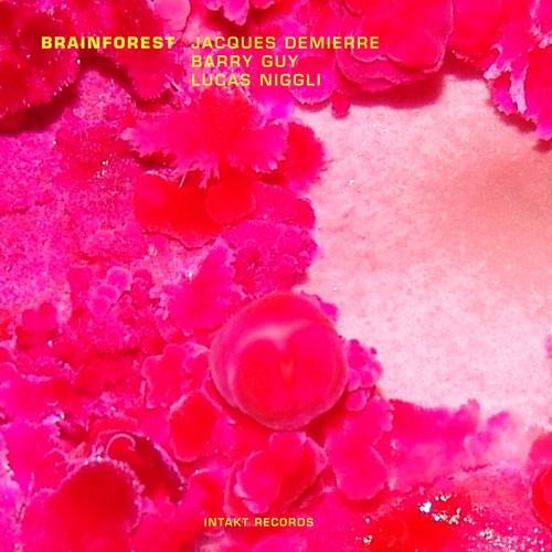 Jacques Demierre Barry Guy Lucas - Brainforest i gruppen ÖVRIGT / Övrigt / aub hos Bengans Skivbutik AB (2557367)