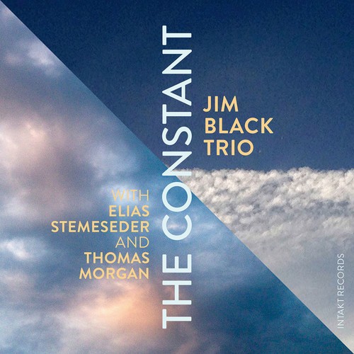 Jim Black Trio - The Constant i gruppen CD / Jazz/Blues hos Bengans Skivbutik AB (2557518)