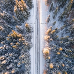 Bvdub - Heartless i gruppen VINYL / Pop hos Bengans Skivbutik AB (2560264)