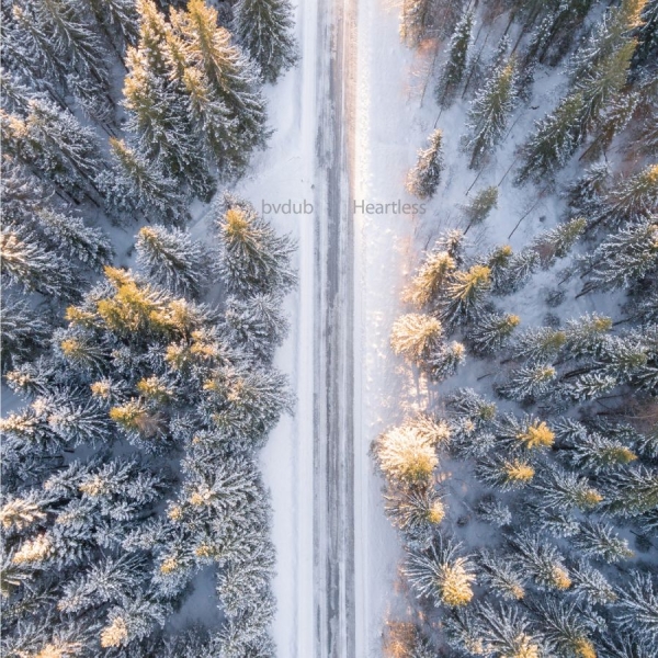 Bvdub - Heartless i gruppen CD / Toppsäljare hos Bengans Skivbutik AB (2560265)