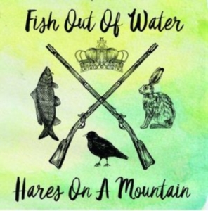 Fish Out Of Water - Hares On A Mountain i gruppen CD / Pop-Rock hos Bengans Skivbutik AB (2560301)