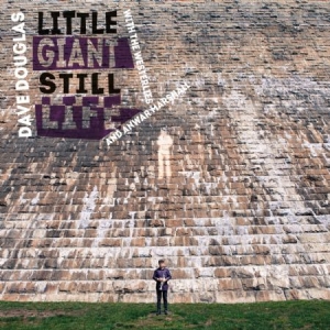 Douglas Dave - Little Giant Still Life i gruppen CD / Jazz/Blues hos Bengans Skivbutik AB (2572355)
