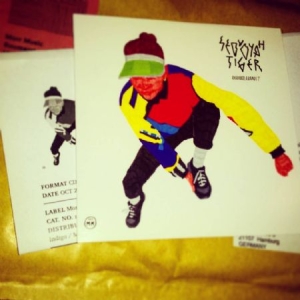 Sequoyah Tiger - Parabolabandit i gruppen CD / Pop-Rock hos Bengans Skivbutik AB (2572377)