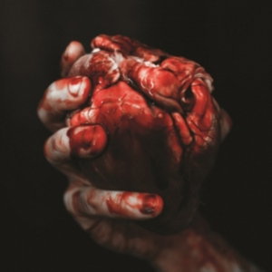 Forgotten Tomb - We Owe You Nothing i gruppen VINYL / Hårdrock hos Bengans Skivbutik AB (2607628)