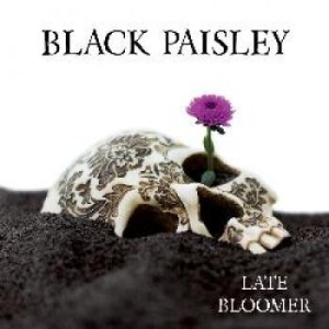 Black Paisley - Late Bloomer i gruppen VINYL / Hårdrock/ Heavy metal hos Bengans Skivbutik AB (2618070)