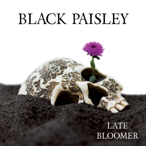 Black Paisley - Late Bloomer i gruppen VINYL / Hårdrock,Pop-Rock,Svensk Musik hos Bengans Skivbutik AB (2618070)