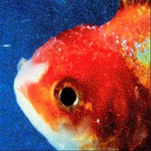 Vince Staples - Big Fish Theory i gruppen CD / Hip Hop hos Bengans Skivbutik AB (2637952)