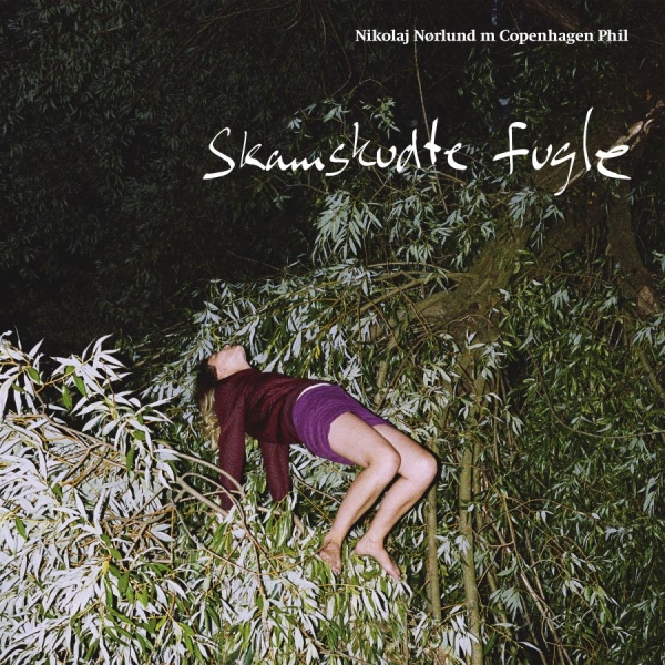 Nikolaj Nørlund / Copenhagen Phil - Skamskudte Fugle i gruppen CD / Toppsäljare hos Bengans Skivbutik AB (2663992)