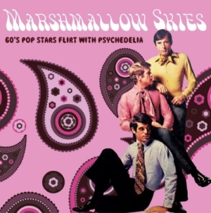 Blandade Artister - Marshmallow Skies (60's Pop Stars F i gruppen CD / Pop hos Bengans Skivbutik AB (2674332)