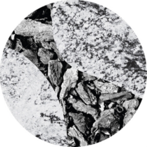 Bonebrokk - Hollow Systems i gruppen VINYL / Dance-Techno hos Bengans Skivbutik AB (2674433)