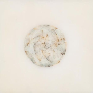 Kestner Lotte - Off White i gruppen CD / Pop hos Bengans Skivbutik AB (2714594)