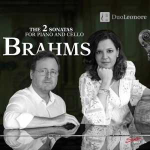Brahms Johannes - The 2 Sonatas For Piano And Cello i gruppen Externt_Lager / Naxoslager hos Bengans Skivbutik AB (2721340)