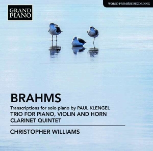 Brahms Johannes - Transcriptions For Solo Piano (By K i gruppen Externt_Lager / Naxoslager hos Bengans Skivbutik AB (2728299)