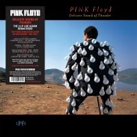 PINK FLOYD - DELICATE SOUND OF THUNDER in the group VINYL / Pop-Rock at Bengans Skivbutik AB (2799051)